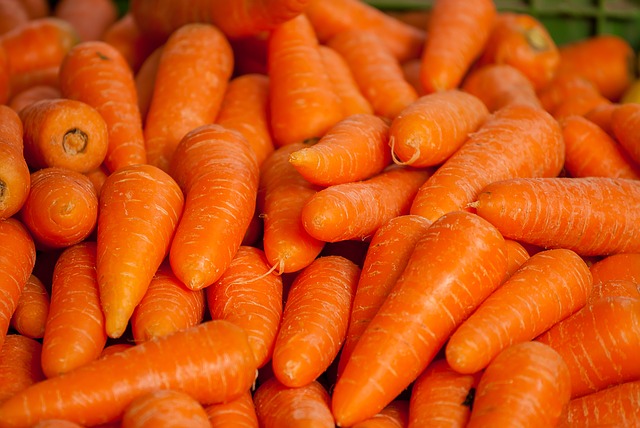 carottes et la santé
