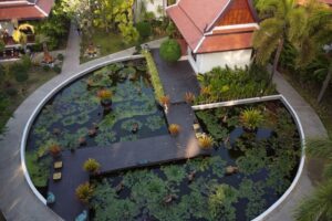 bassins de jardin