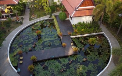bassins de jardin