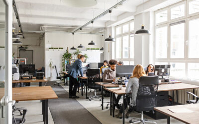 freelance Wix