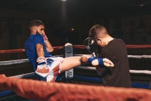 combattant professionnel