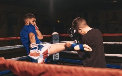 combattant professionnel