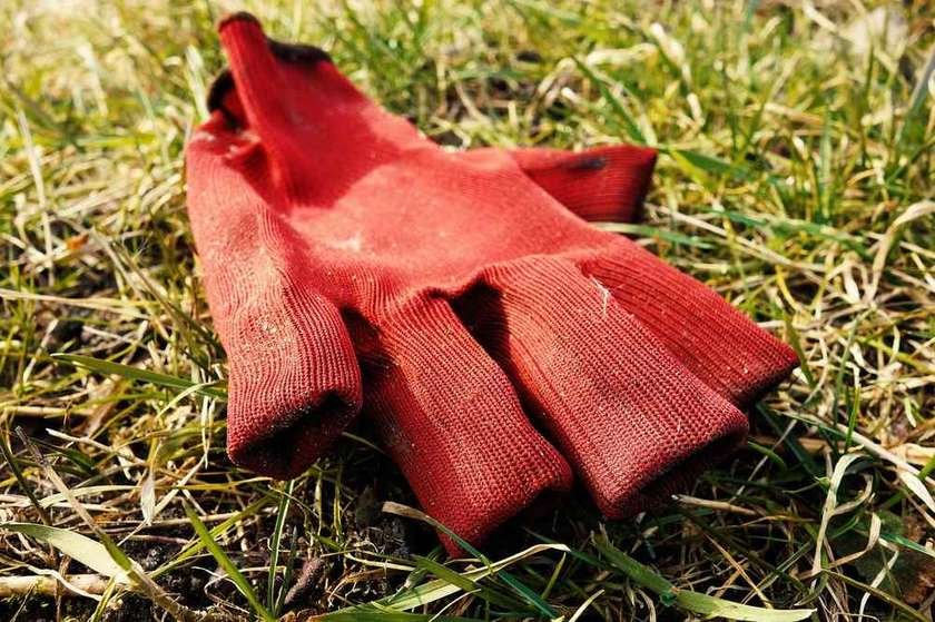 Gant rouge allongé sur l'herbe, main droite, position allongée, sol sec, lumière naturelle Gant rouge allongé sur l'herbe, main droite, position allongée, sol sec, lumière naturelle